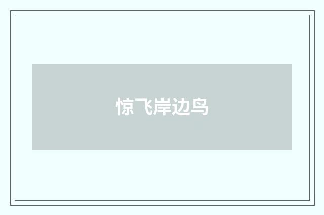 惊飞岸边鸟