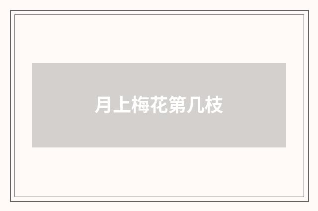月上梅花第几枝