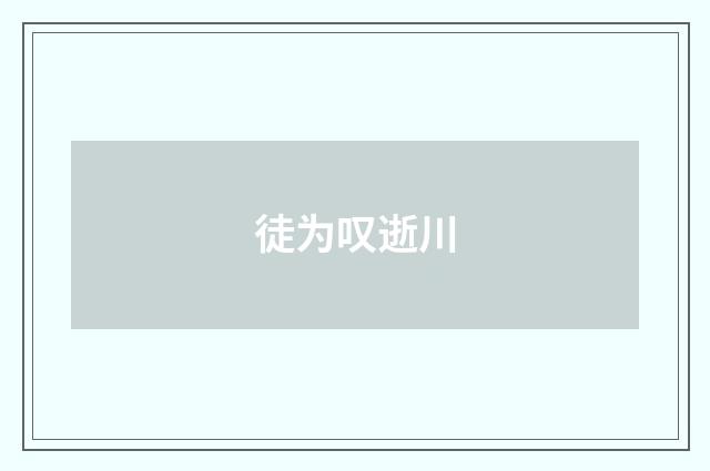 徒为叹逝川
