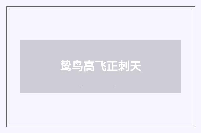 鸷鸟高飞正刺天
