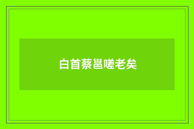 白首蔡邕嗟老矣