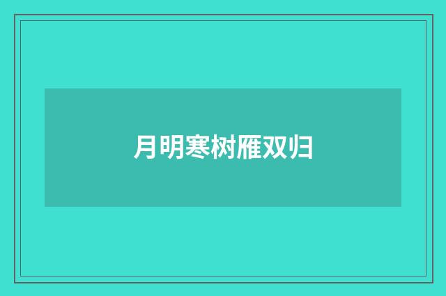 月明寒树雁双归