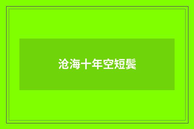 沧海十年空短鬓