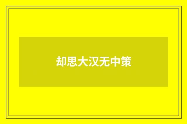却思大汉无中策