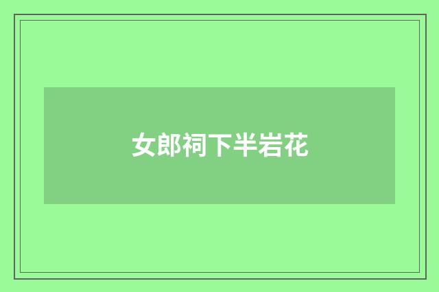 女郎祠下半岩花
