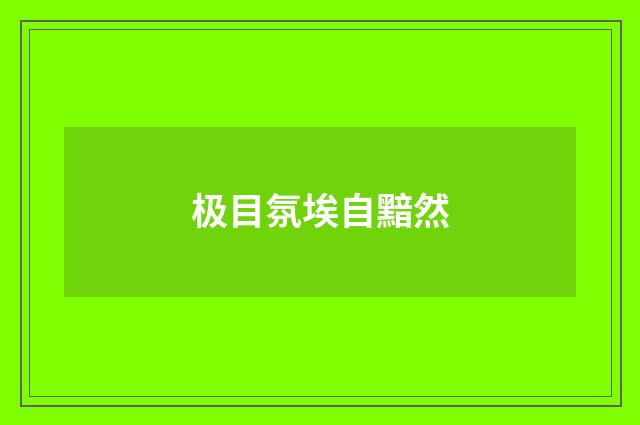 极目氛埃自黯然