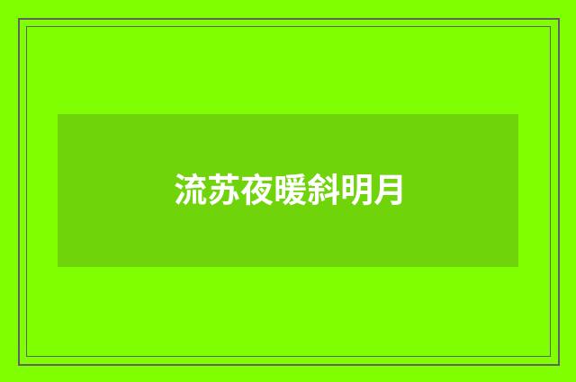 流苏夜暖斜明月