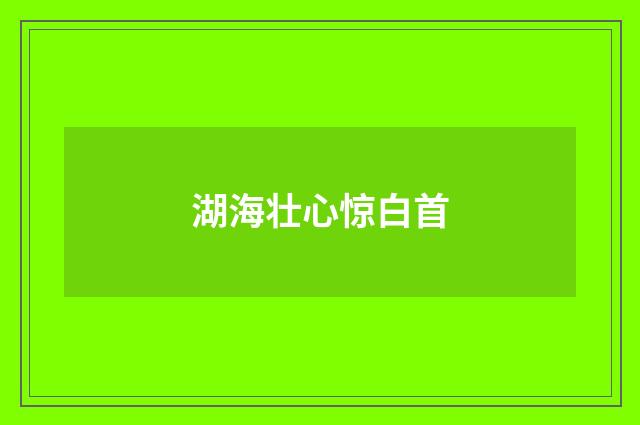 湖海壮心惊白首