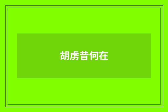 胡虏昔何在