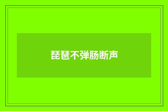 琵琶不弹肠断声
