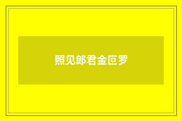 照见郎君金叵罗