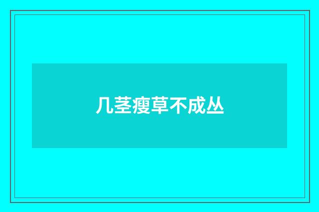 几茎瘦草不成丛