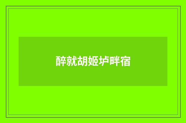 醉就胡姬垆畔宿