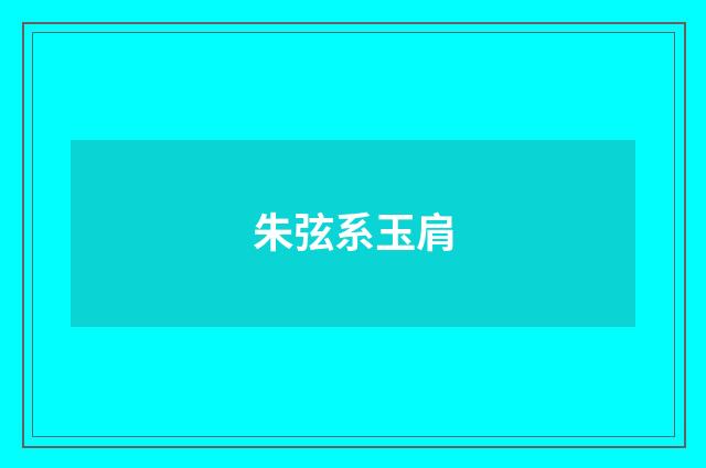朱弦系玉肩
