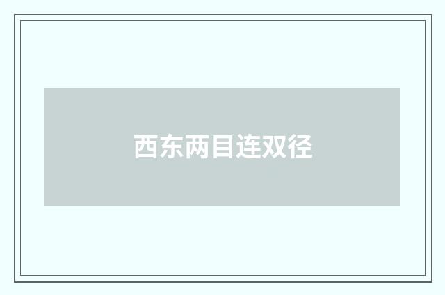 西东两目连双径