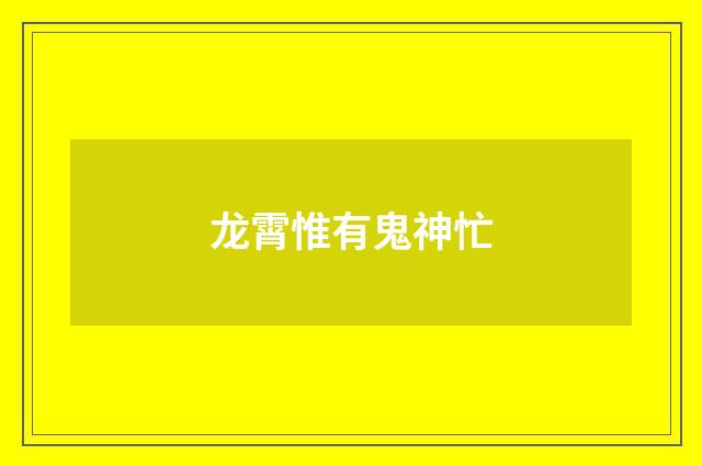 龙霄惟有鬼神忙