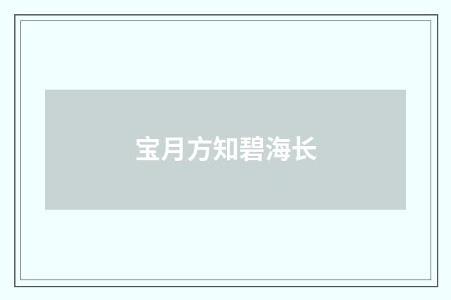 宝月方知碧海长