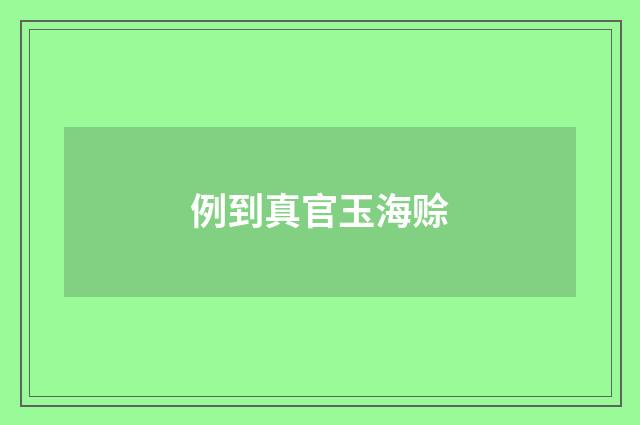 例到真官玉海赊