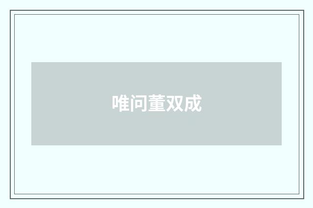 唯问董双成