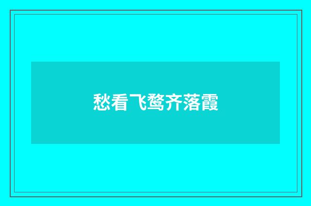 愁看飞鹜齐落霞