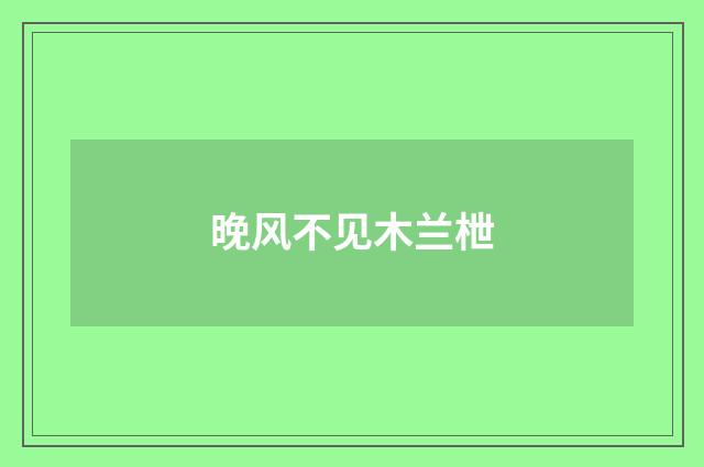 晚风不见木兰枻