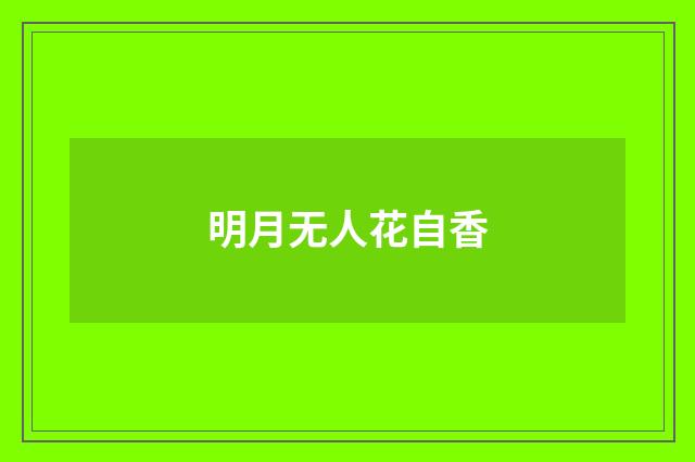 明月无人花自香