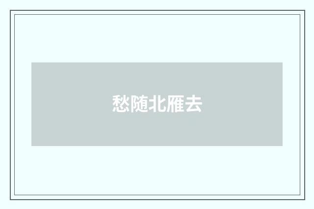 愁随北雁去