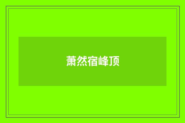 萧然宿峰顶