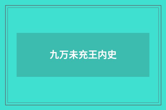 九万未充王内史