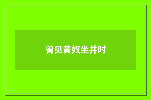 曾见黄奴坐井时