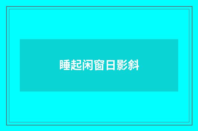 睡起闲窗日影斜