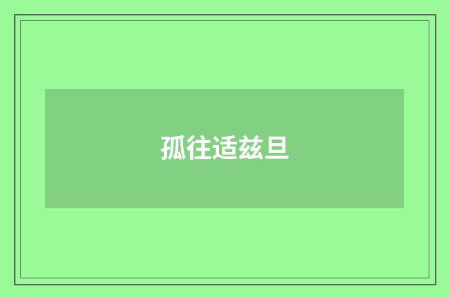 孤往适兹旦