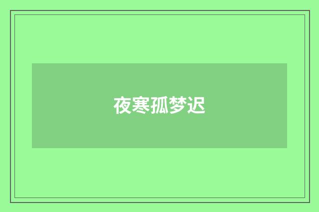 夜寒孤梦迟