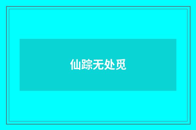 仙踪无处觅