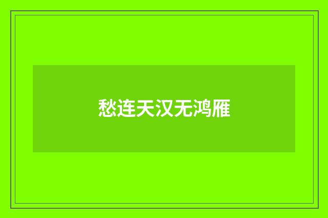 愁连天汉无鸿雁
