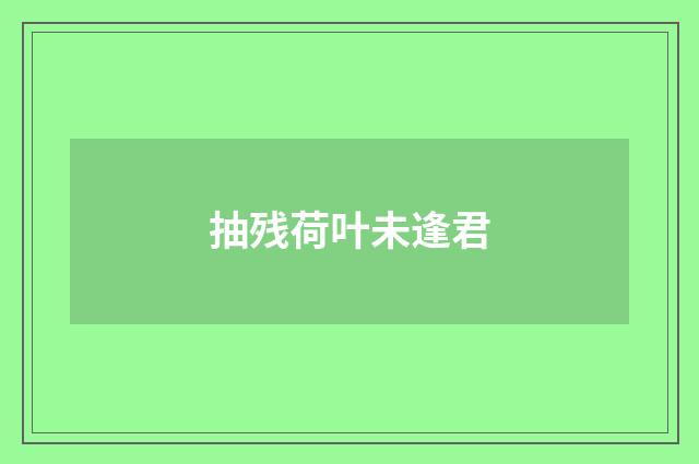 抽残荷叶未逢君