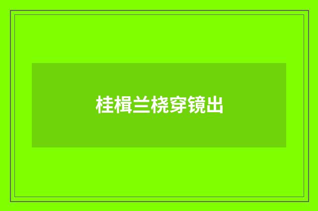 桂楫兰桡穿镜出