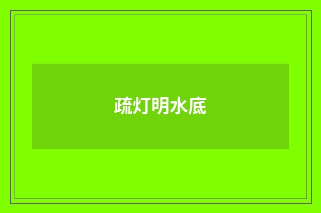 疏灯明水底