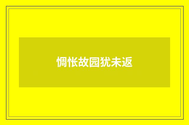 惆怅故园犹未返