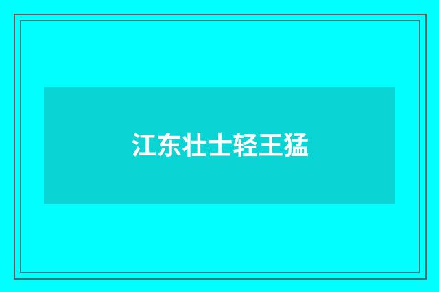 江东壮士轻王猛