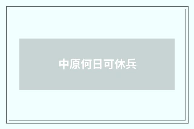 中原何日可休兵