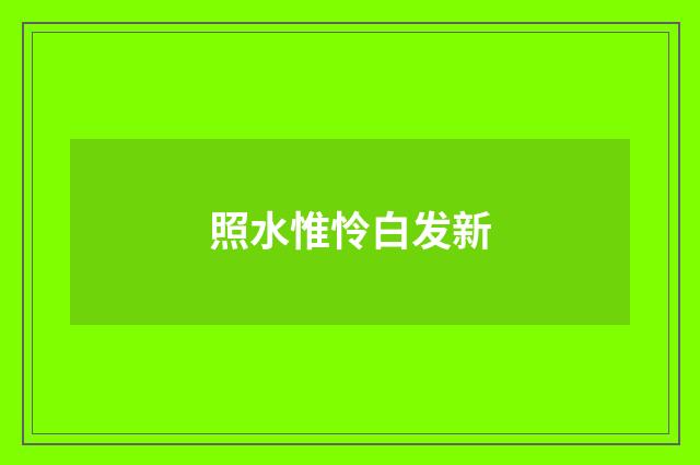 照水惟怜白发新