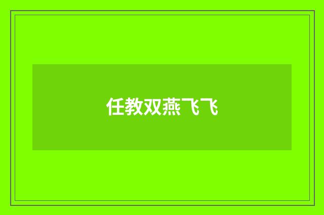 任教双燕飞飞