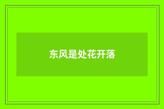 东风是处花开落