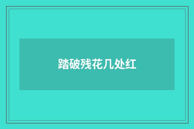 踏破残花几处红