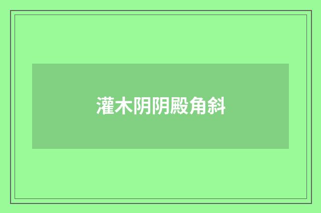 灌木阴阴殿角斜