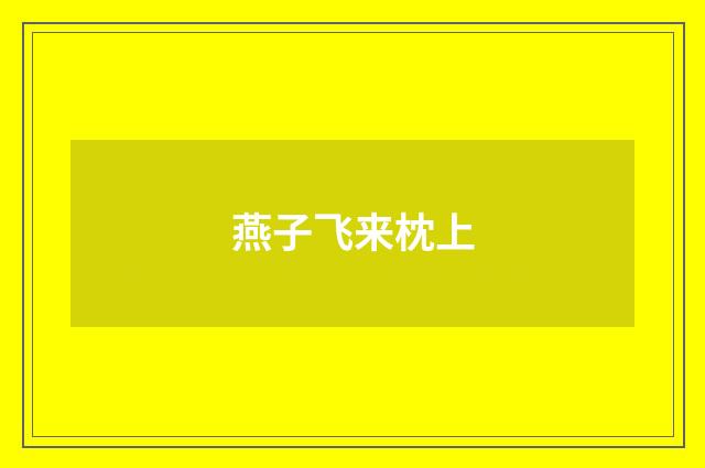 燕子飞来枕上