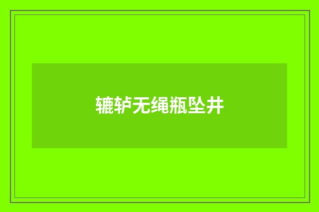 辘轳无绳瓶坠井