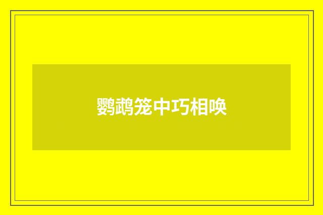 鹦鹉笼中巧相唤