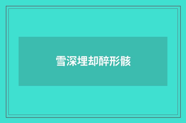雪深埋却醉形骸